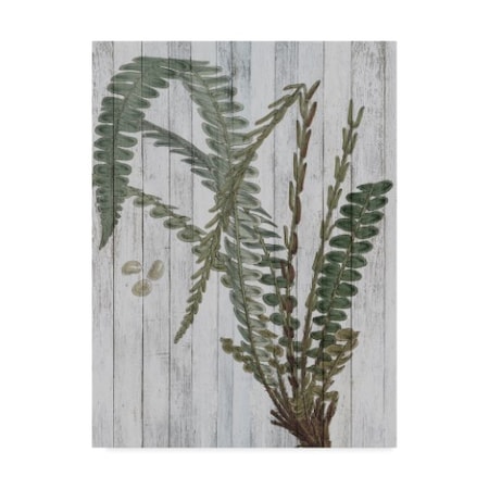 Studio W 'Rustic Greenery Iv' Canvas Art,24x32